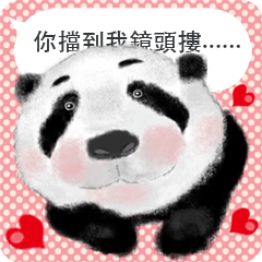 Panda I Love You