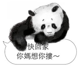 Panda I Love You sticker #11139704