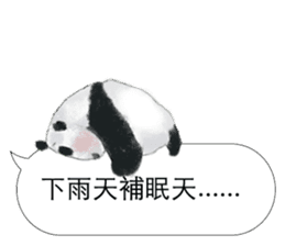 Panda I Love You sticker #11139709