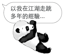 Panda I Love You sticker #11139716