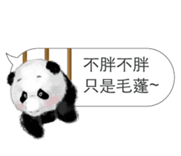 Panda I Love You sticker #11139717