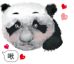 Panda I Love You sticker #11139723