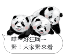Panda I Love You sticker #11139724