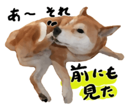 Sticker Shibainu(vol6) sticker #11140307