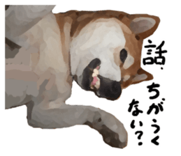 Sticker Shibainu(vol6) sticker #11140309