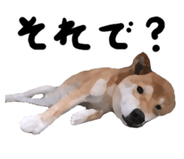 Sticker Shibainu(vol6) sticker #11140312