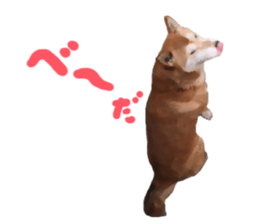Sticker Shibainu(vol6) sticker #11140316