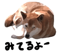 Sticker Shibainu(vol6) sticker #11140326