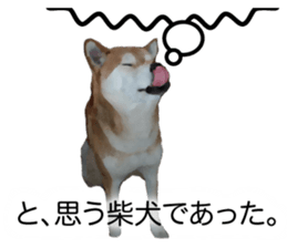 Sticker Shibainu(vol6) sticker #11140336