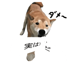 Sticker Shibainu(vol6) sticker #11140340