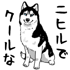 Wanko-Biyori Vol.4 Siberian husky