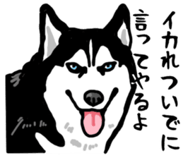 Wanko-Biyori Vol.4 Siberian husky sticker #11143344