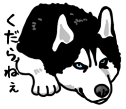 Wanko-Biyori Vol.4 Siberian husky sticker #11143345