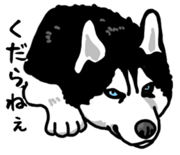 Wanko-Biyori Vol.4 Siberian husky sticker #11143345