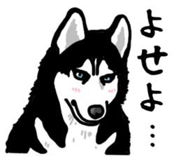 Wanko-Biyori Vol.4 Siberian husky sticker #11143347