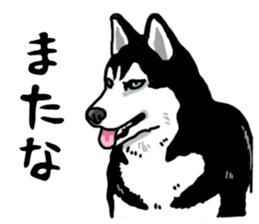 Wanko-Biyori Vol.4 Siberian husky sticker #11143349