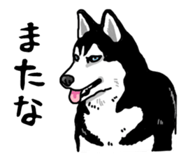 Wanko-Biyori Vol.4 Siberian husky sticker #11143349