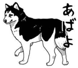 Wanko-Biyori Vol.4 Siberian husky sticker #11143350