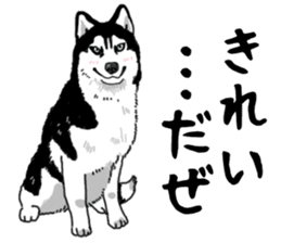 Wanko-Biyori Vol.4 Siberian husky sticker #11143352