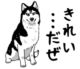 Wanko-Biyori Vol.4 Siberian husky sticker #11143352