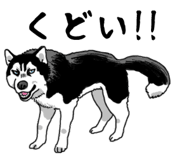 Wanko-Biyori Vol.4 Siberian husky sticker #11143353