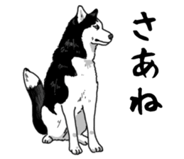 Wanko-Biyori Vol.4 Siberian husky sticker #11143354