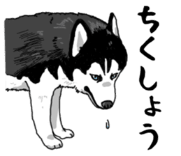 Wanko-Biyori Vol.4 Siberian husky sticker #11143356