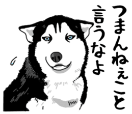 Wanko-Biyori Vol.4 Siberian husky sticker #11143357