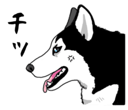 Wanko-Biyori Vol.4 Siberian husky sticker #11143358
