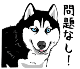Wanko-Biyori Vol.4 Siberian husky sticker #11143359