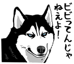 Wanko-Biyori Vol.4 Siberian husky sticker #11143361