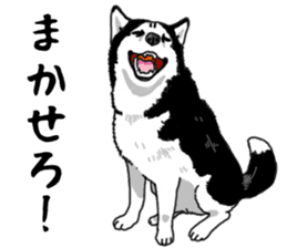Wanko-Biyori Vol.4 Siberian husky sticker #11143364