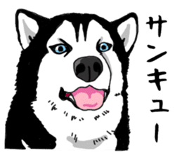 Wanko-Biyori Vol.4 Siberian husky sticker #11143365