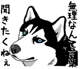 Wanko-Biyori Vol.4 Siberian husky sticker #11143369