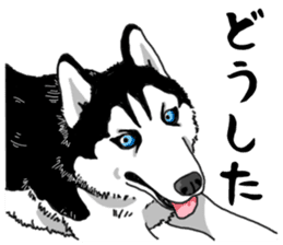 Wanko-Biyori Vol.4 Siberian husky sticker #11143370