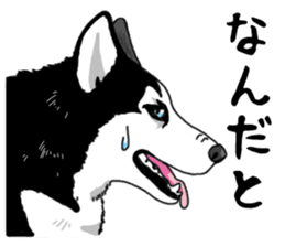 Wanko-Biyori Vol.4 Siberian husky sticker #11143372