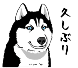 Wanko-Biyori Vol.4 Siberian husky sticker #11143373
