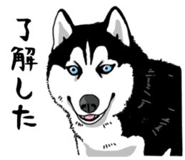 Wanko-Biyori Vol.4 Siberian husky sticker #11143374