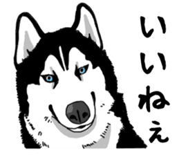 Wanko-Biyori Vol.4 Siberian husky sticker #11143376