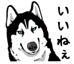 Wanko-Biyori Vol.4 Siberian husky sticker #11143376