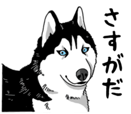 Wanko-Biyori Vol.4 Siberian husky sticker #11143377