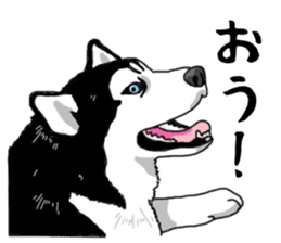 Wanko-Biyori Vol.4 Siberian husky sticker #11143378