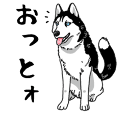Wanko-Biyori Vol.4 Siberian husky sticker #11143379