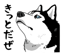 Wanko-Biyori Vol.4 Siberian husky sticker #11143380
