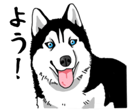 Wanko-Biyori Vol.4 Siberian husky sticker #11143381