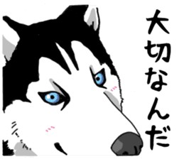 Wanko-Biyori Vol.4 Siberian husky sticker #11143383