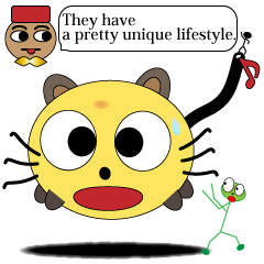 The Wonder World.(English)