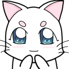 White cat's daily
