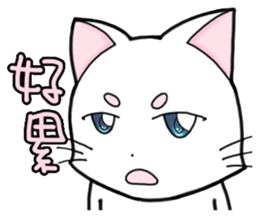 White cat's daily sticker #11144791