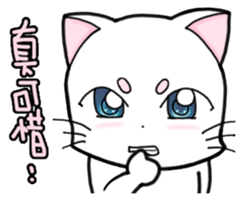 White cat's daily sticker #11144808